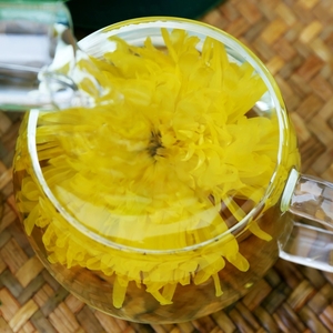 衣服皇菊一朵一泡大菊花茶金丝女生黄菊适合女男朋友洗特级给金丝图片